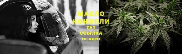 дмт Богородск