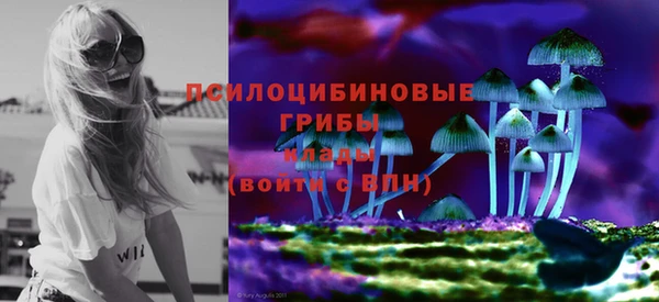 a pvp Богданович